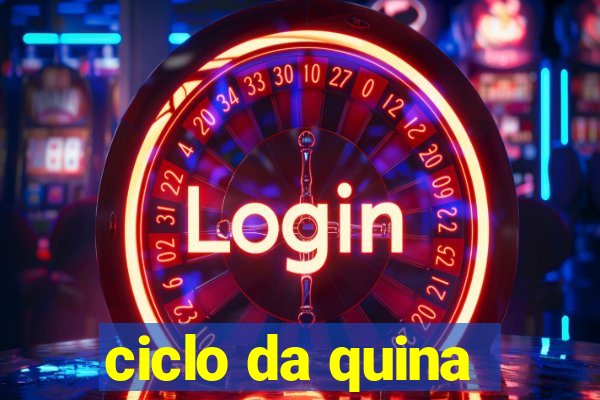 ciclo da quina